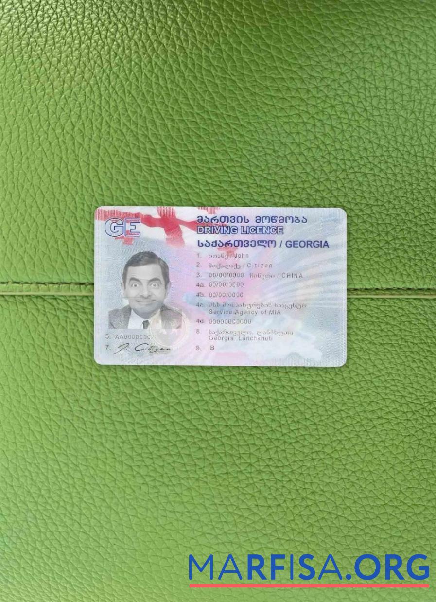 Blank Georgia DL photolook download for verification